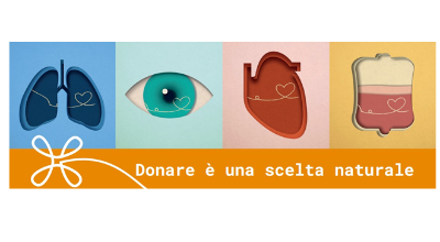 immagine immagine